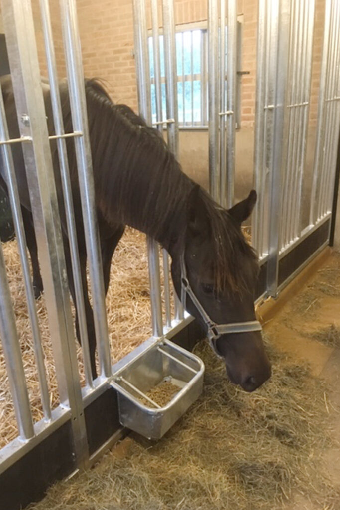 Paardenbox voerwand