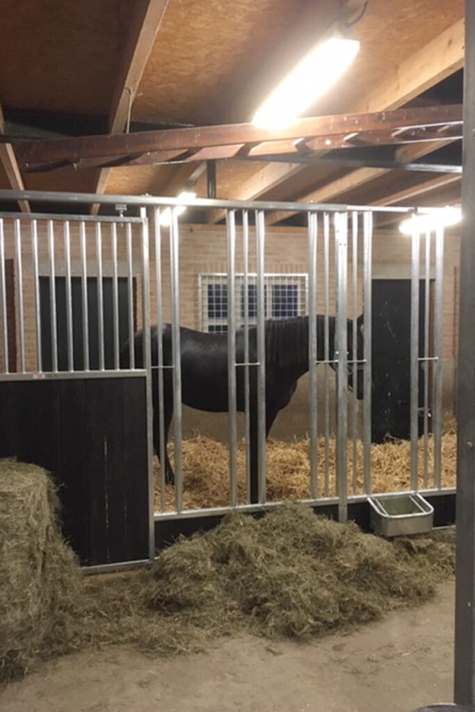 Paardenbox voerwand