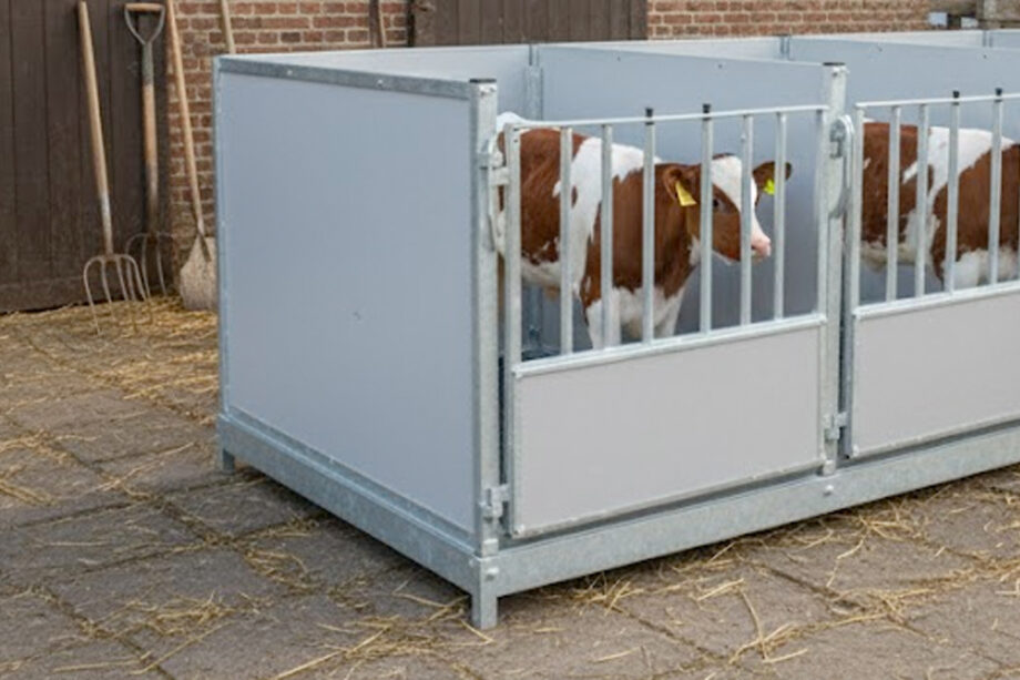 Gebruikte kalverboxen