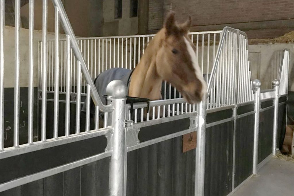Kunststof planken kopen voor paardenstal: duurzaam en onderhoudsvrij
