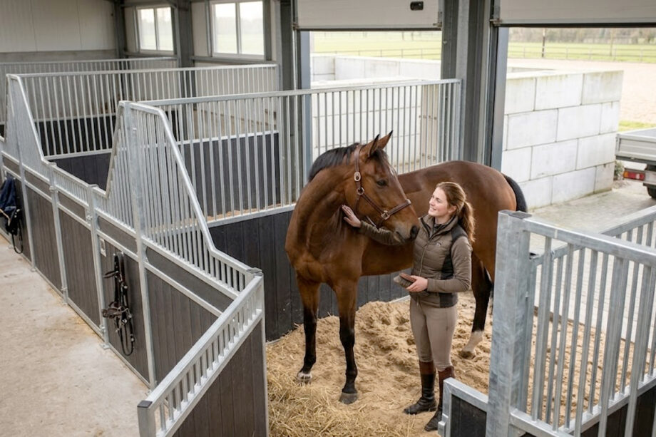 Paardenstal te koop
