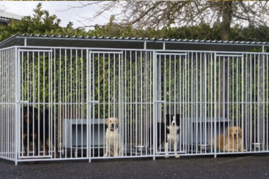 Hondenkennel bestellen