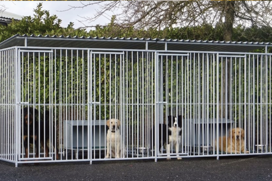Hondenkennel bestellen